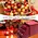 Clothing Organizer,Christmas Drawer